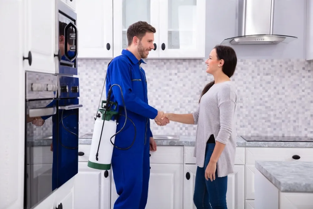Pest Control Experts - Lafayette Best Pest Pros | Lafayette, CA | 925-940-6108